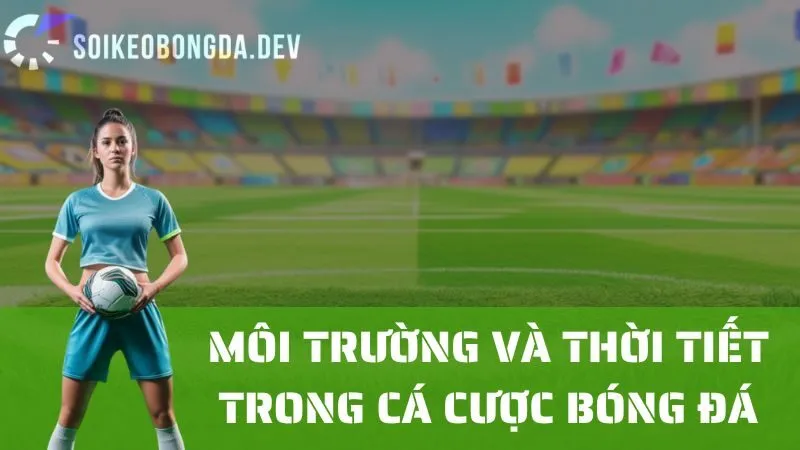 Phân Tích Môi Trường Và Điều Kiện Thời Tiết Khi Đặt Cược Bóng Đá 1 Phân Tích Môi Trường Và Điều Kiện Thời Tiết Khi Đặt Cược Bóng Đá