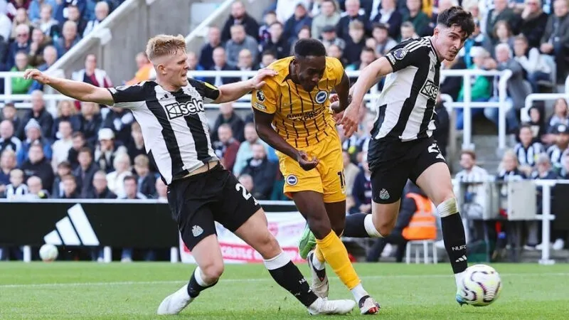 Soi Kèo Nhà Cái Brighton vs Newcastle - 04/05/2025 - Ngoại Hạng Anh 3 Dự đoán kết quả Brighton vs Newcastle
